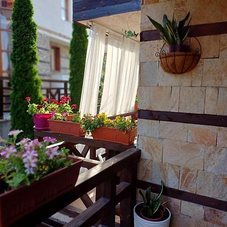 Mila Vip Apartment Bansko Exterior foto
