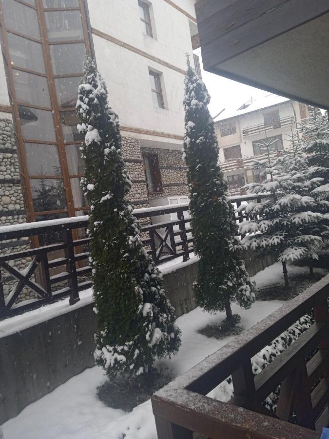 Mila Vip Apartment Bansko Exterior foto